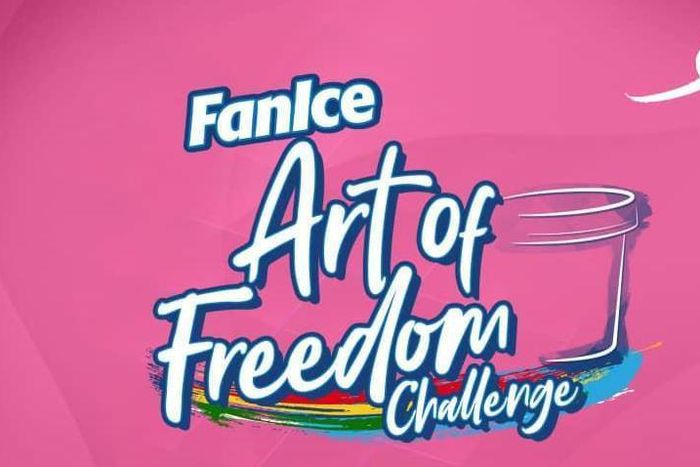 Top 5 finalists for the FanIce Art of Freedom challenge announced