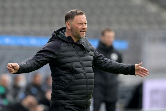 Hertha Berlin coach Pal Dardai is one of a trio at the club who have tested positive for Covid-19