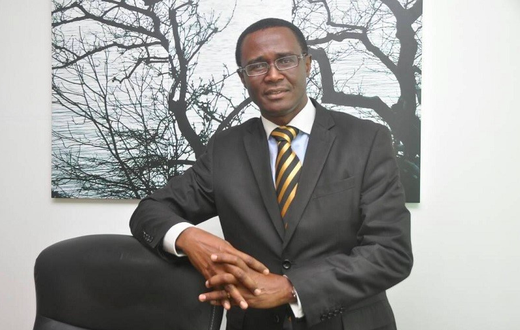 Ammishaddai Owusu-Amoah, Commissioner-General of the GRA