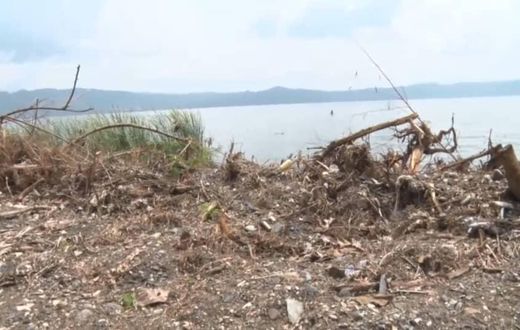 Manhyia Palace orders private developer to plant about 60k trees along Lake Bosomtwe