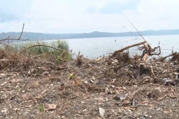 Manhyia Palace orders private developer to plant about 60k trees along Lake Bosomtwe