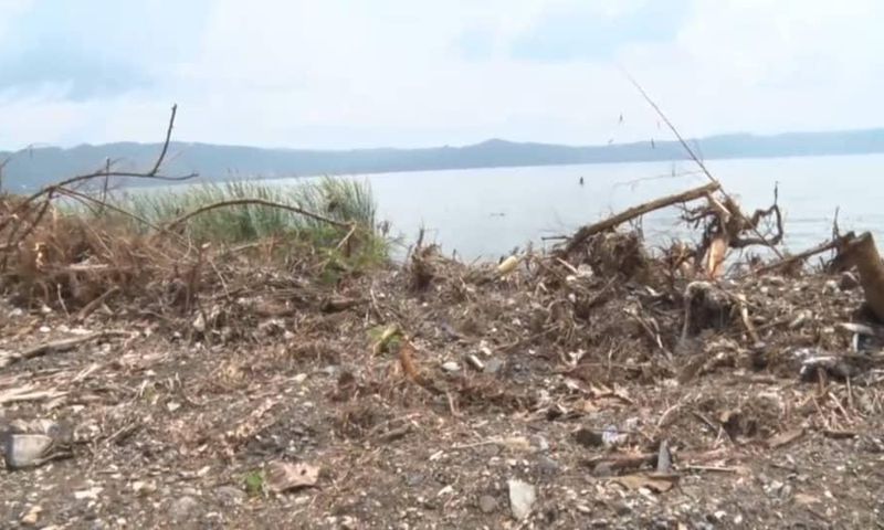 Manhyia Palace orders private developer to plant about 60k trees along Lake Bosomtwe