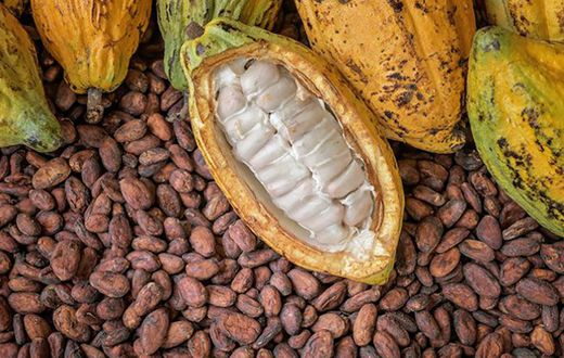 EU threatens to ban cocoa from Ghana over galamsey