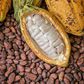EU threatens to ban cocoa from Ghana over galamsey