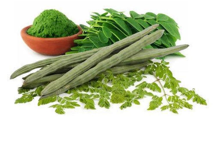 Moringa