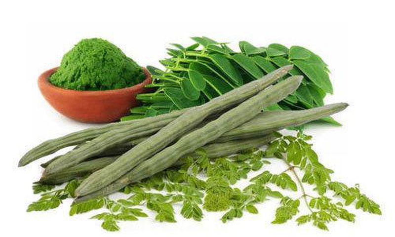 Moringa