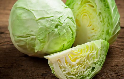Cabbage