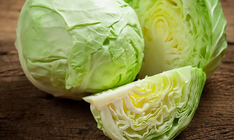 Cabbage