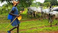 Fulani herdsmen