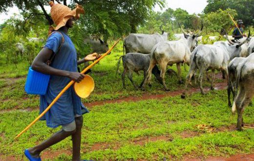 Fulani herdsmen