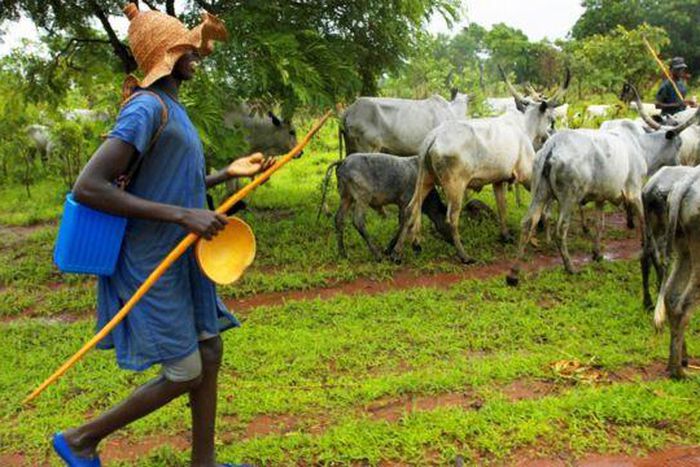 Fulani herdsmen