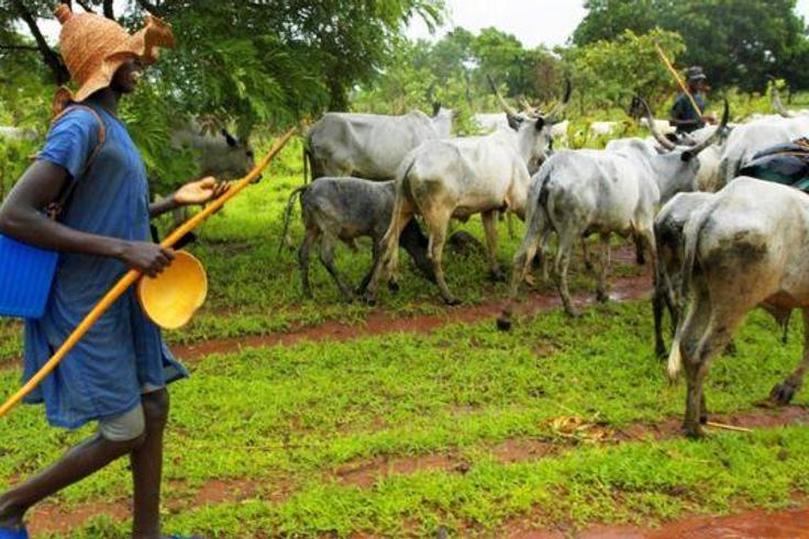 Fulani herdsmen