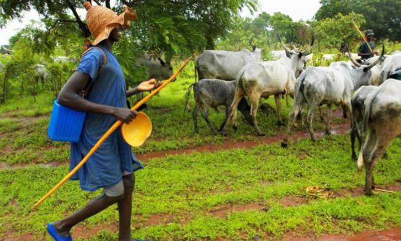 Fulani herdsmen