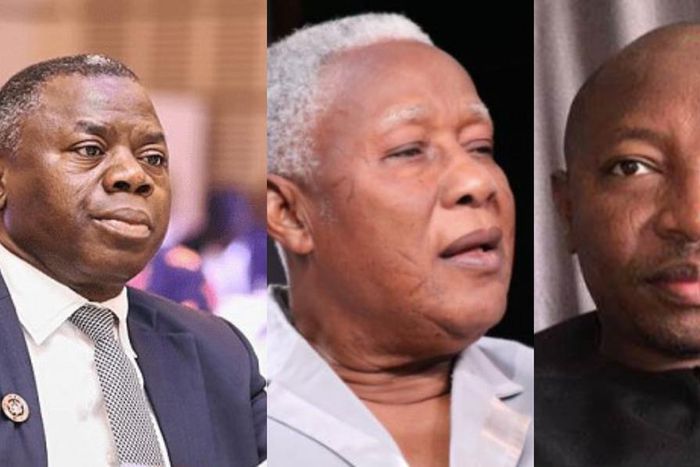 Council Of State Election