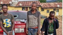 Goat thieves