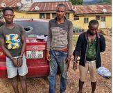 Goat thieves