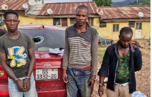 Goat thieves