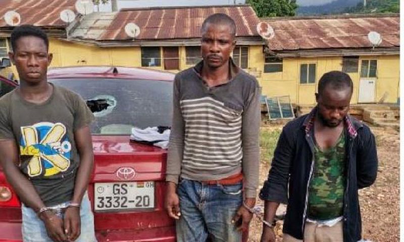 Goat thieves