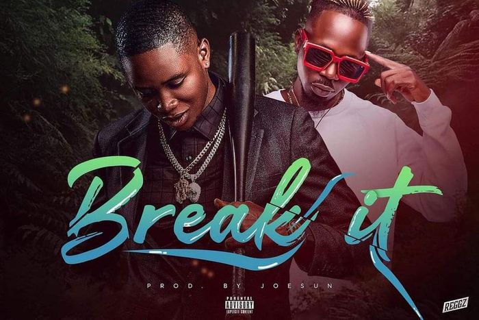 Meo Break It cover