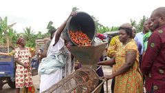 Palm oil processing