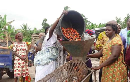 Palm oil processing
