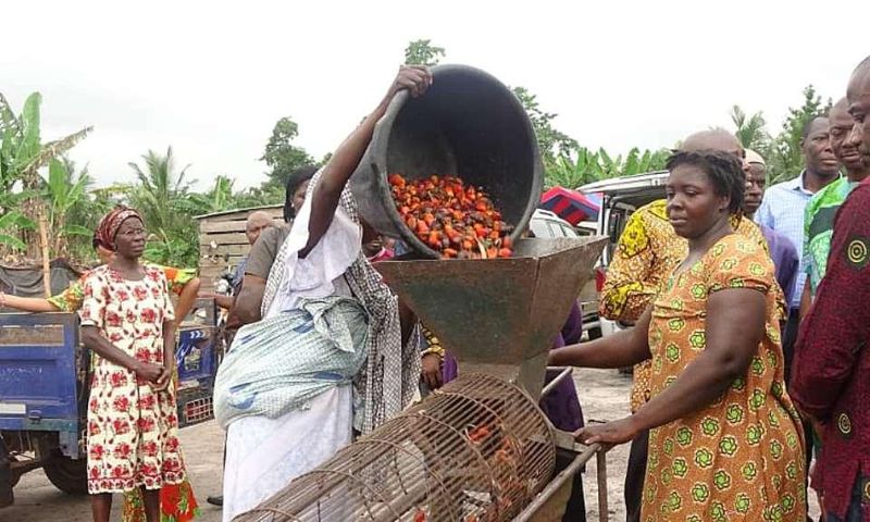 Palm oil processing