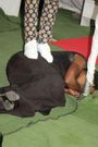 Pastor who farted on church member’s face says “it’s demonstration of God’s power”