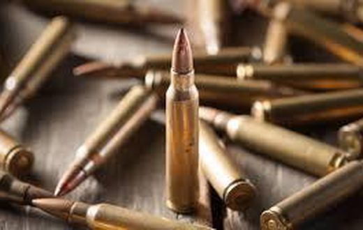 Gun bullets