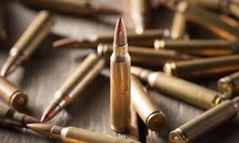 Gun bullets