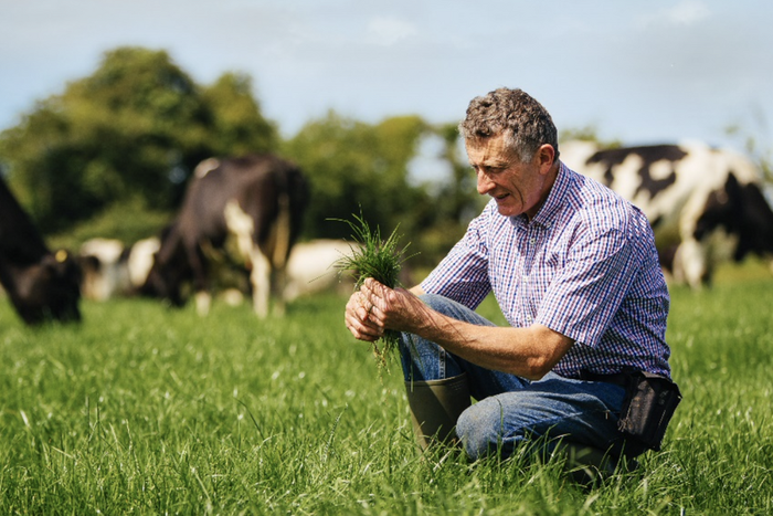 Bord Bia to host World Milk Day campaigns in Africa