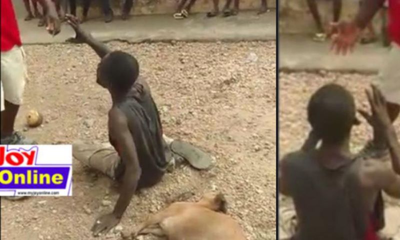 Ayigbe Town chief arrested over the killing of man alleged to have stolen his pregnant goat