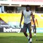 Ayew brothers and Thomas Partey return to training