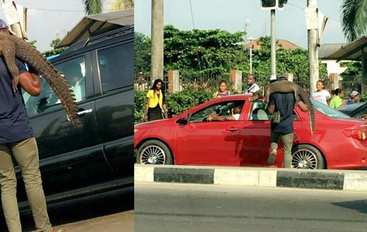 Man causes a stir as he is seen selling live crocodile in traffic