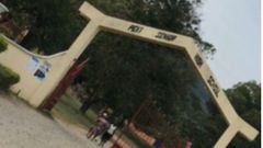 Peki SHS