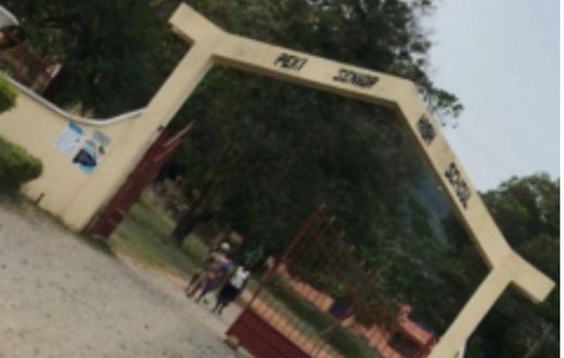 Peki SHS