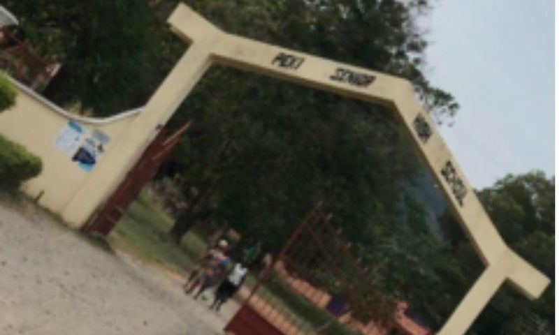 Peki SHS