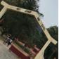 Peki SHS