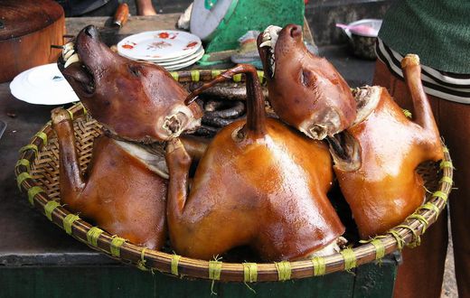 Dog shortage hits Sandema market; customers cry over meat price increase