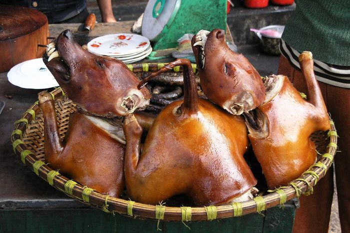 Dog shortage hits Sandema market; customers cry over meat price increase