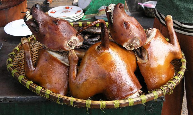Dog shortage hits Sandema market; customers cry over meat price increase
