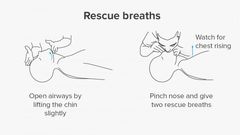 This is how to give rescue breaths {healthline}