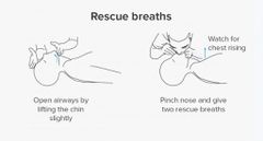 This is how to give rescue breaths {healthline}