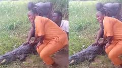 Photo-taking turns tragic as crocodile attacks tourists at Ave-Dakpa in the Volta region