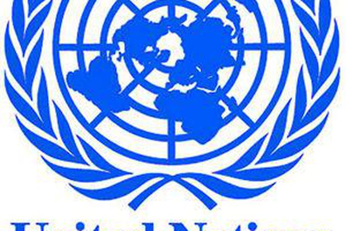 United Nations (UN)