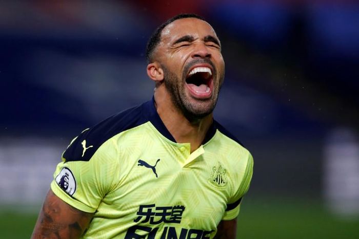Callum Wilson's goal broke the deadlock for Newcastle