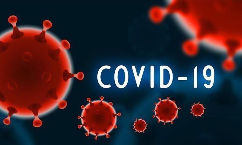 COVID-19
