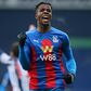 Wilfried Zaha celebrates the first Crystal Palace goal in a 5-1 triumph over West Bromwich Albion at the weekend
