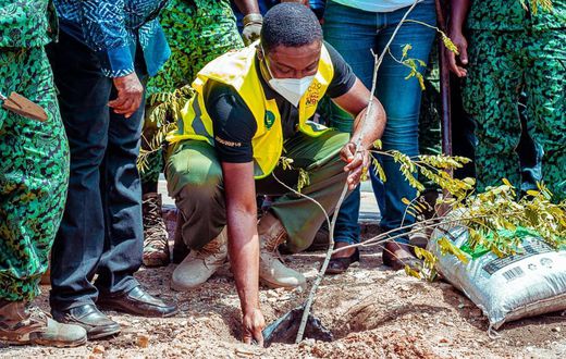 Green Ghana Campaign