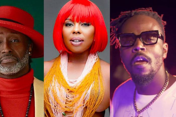 How Ghanaians celebrities are reacting to Akuapem Polo’s jail sentence