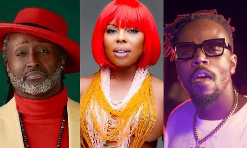 How Ghanaians celebrities are reacting to Akuapem Polo’s jail sentence